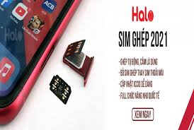 Ghép SIM iPhone Lock mới nhất 2021 Fix ICCID tự động | Halo Mobile - Blog Thú Vị - blogthuvi.com