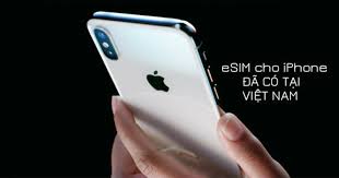 Chi tiết cách kích hoạt eSIM trên iPhone Xs, Xs Max, XR và iPhone 11 - Vietgle.vn - vietgle.vn