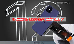 iPhone 12 mấy SIM? iPhone 12 dùng được mấy SIM tại Việt Nam? - trangdichvu.com