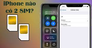 iPhone nào có 2 SIM? eSIM và 2 SIM vật lý khác nhau thế nào? - didongviet.vn